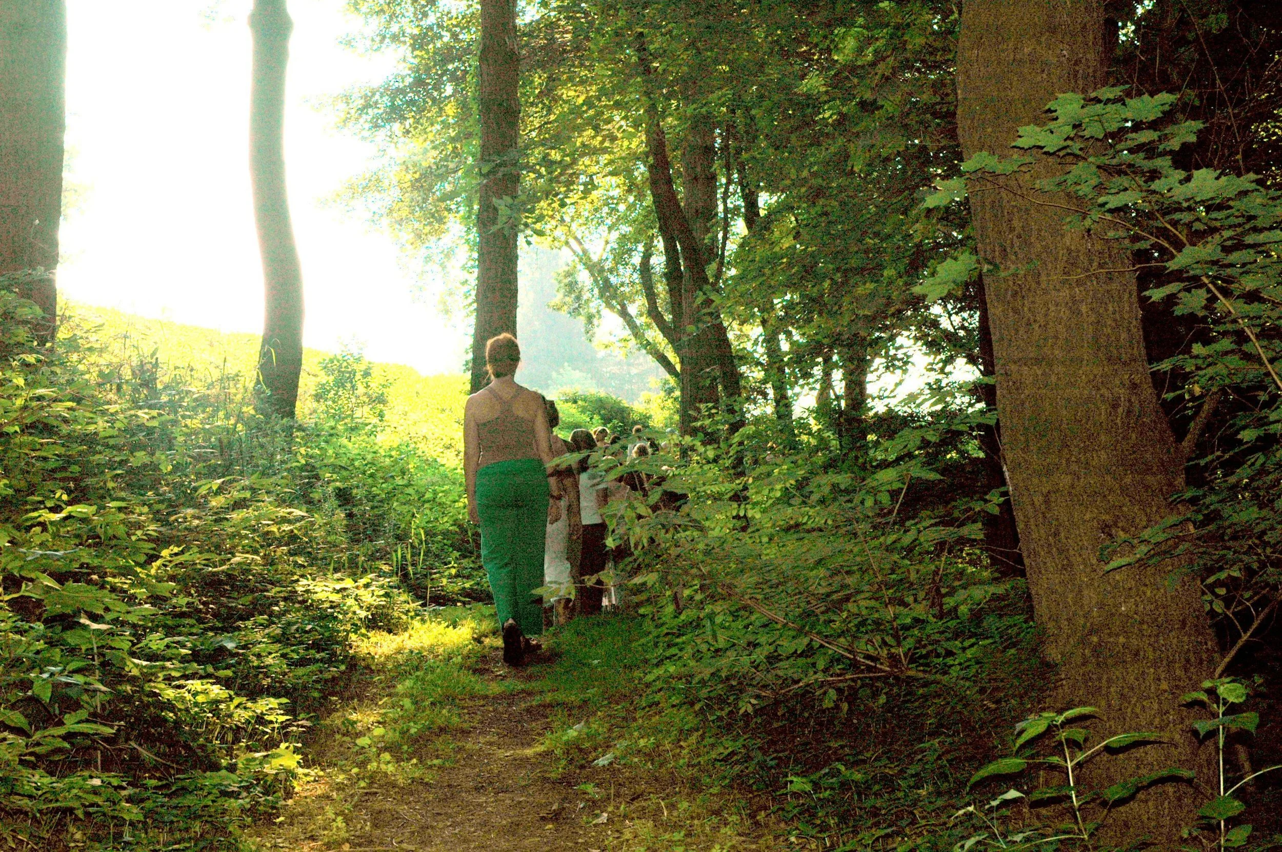 Walk the Talk: Enjoy Mindful Walks in Nature