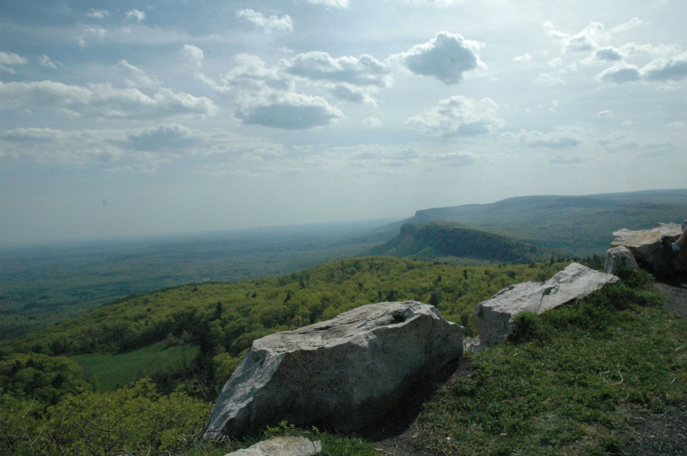Listen In and Open Up: A Meditation to Expand Into Nature's Soundscape