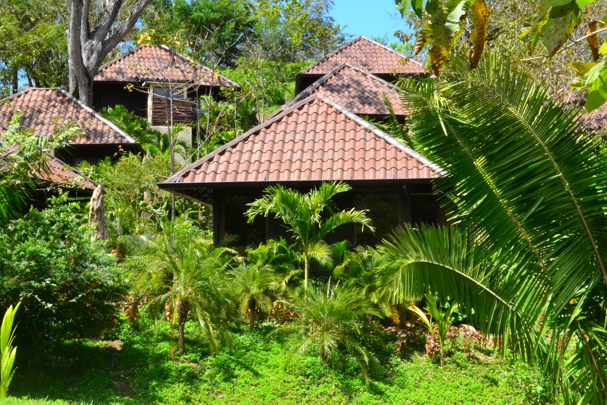 nature cottages on hill.jpg