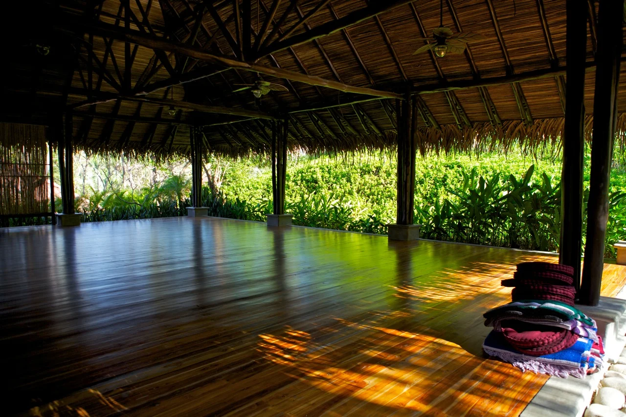 Nature Studio .jpg