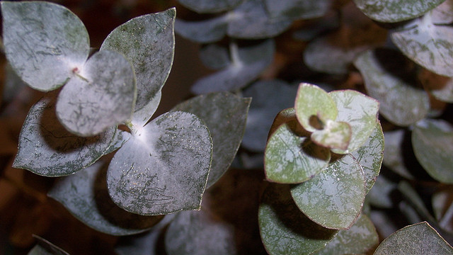 Four Ways to Perk Up and Start Fresh