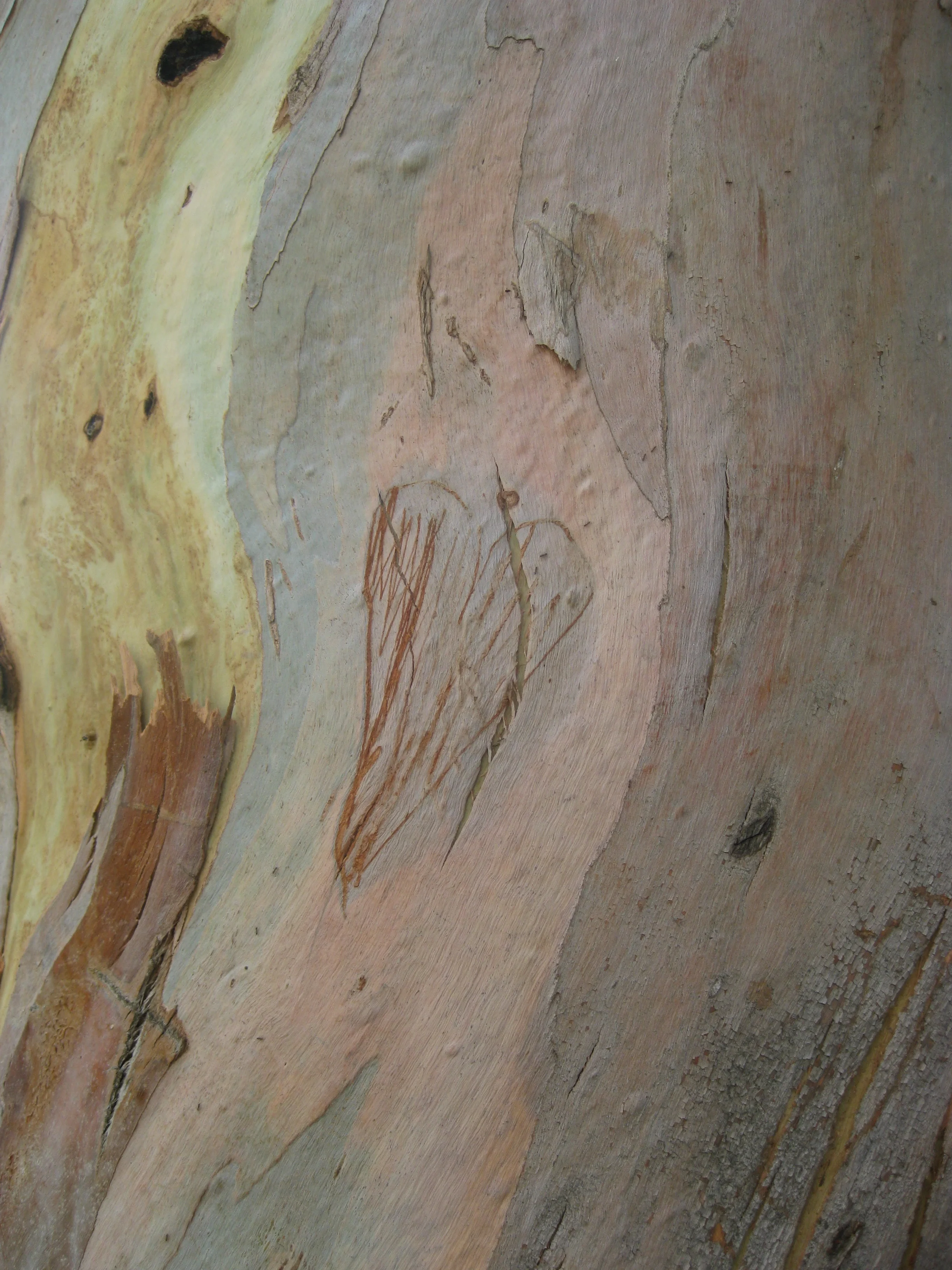 Instant Gratification: Metta meditation magic