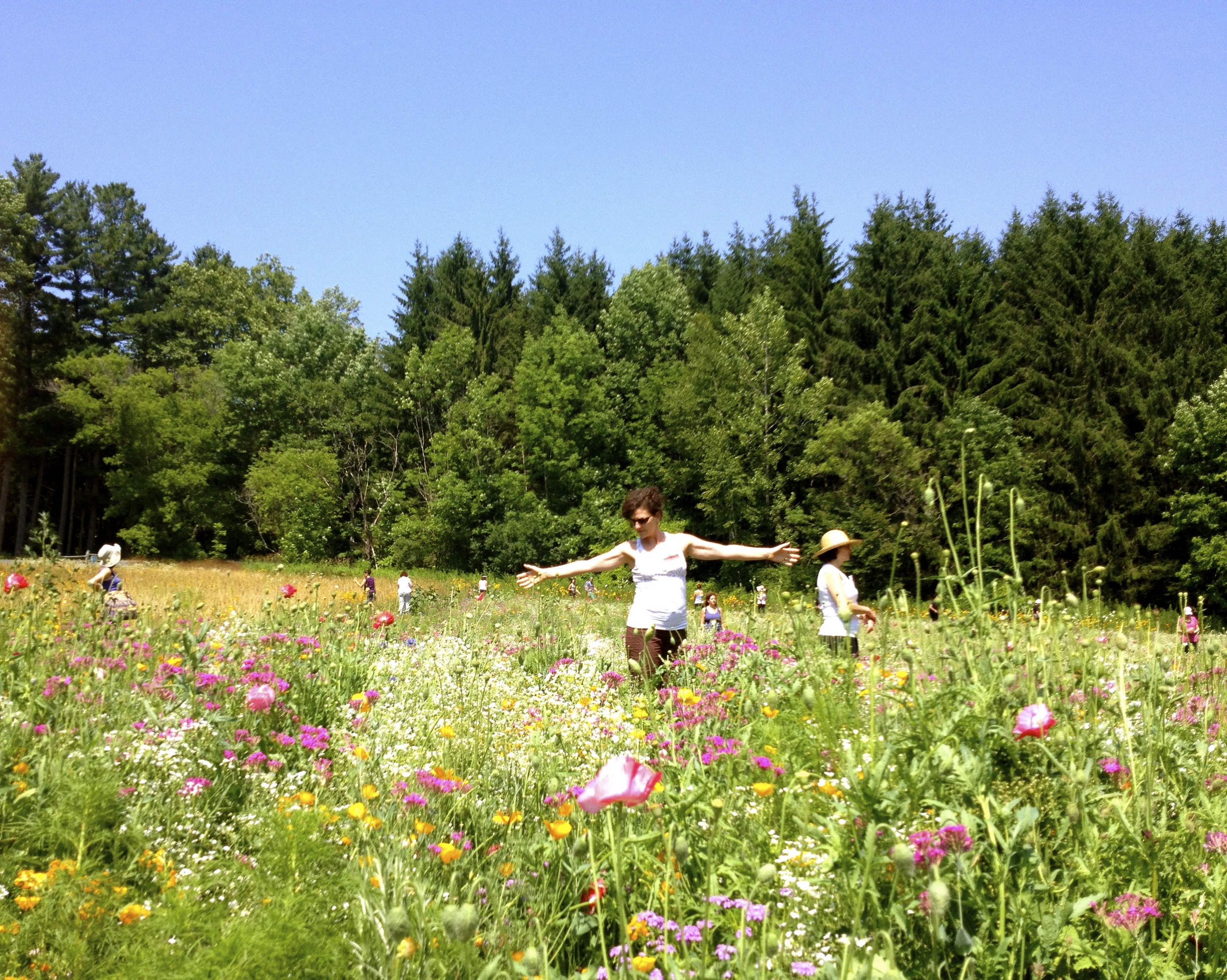 Summer Retreats: Learn to Pause & Relax Into Your Life