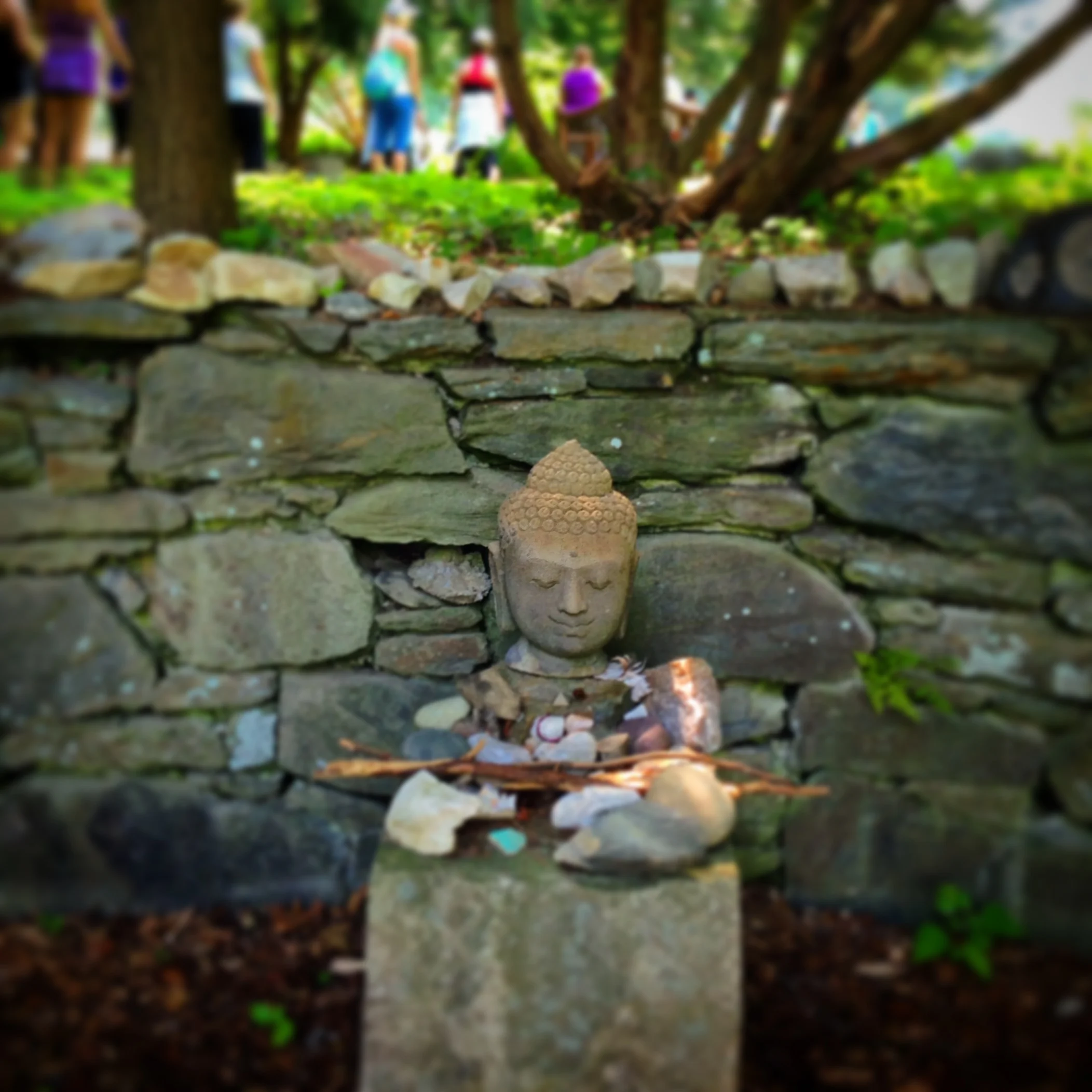 Wander, Wonder, and Expand Into Summer