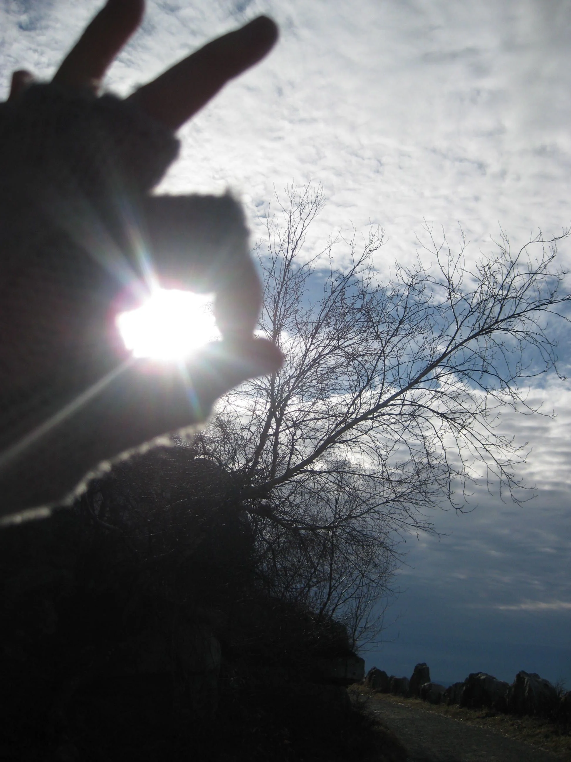 A New Year's Winter Renewal Retreat