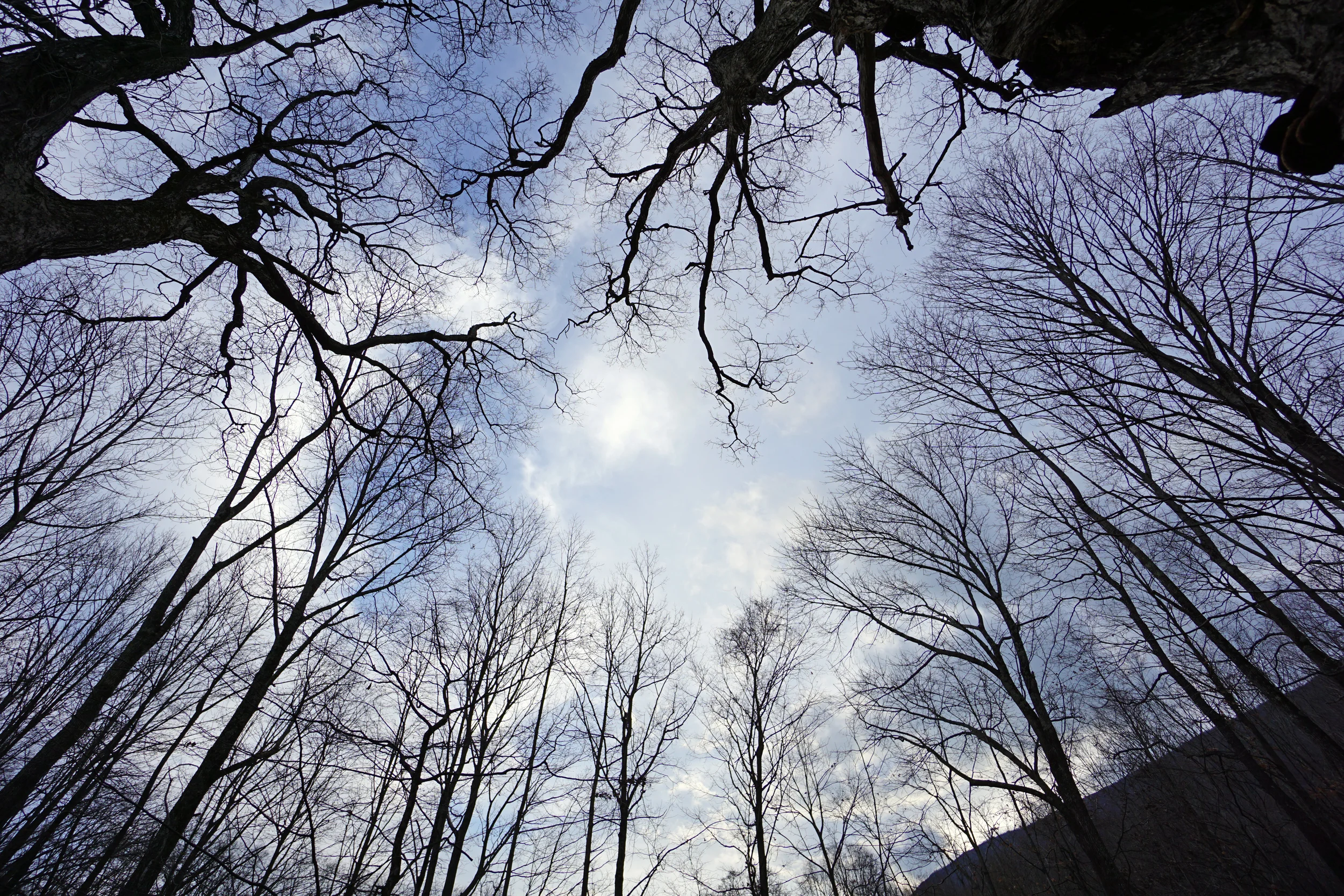 Strong Enough To Be Soft