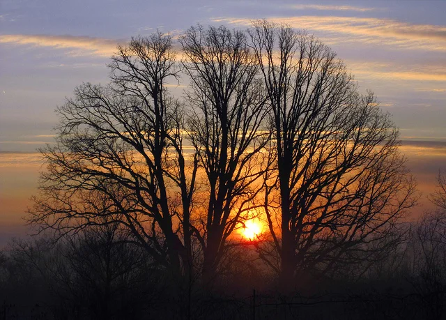 A Meditation To Welcome Spring