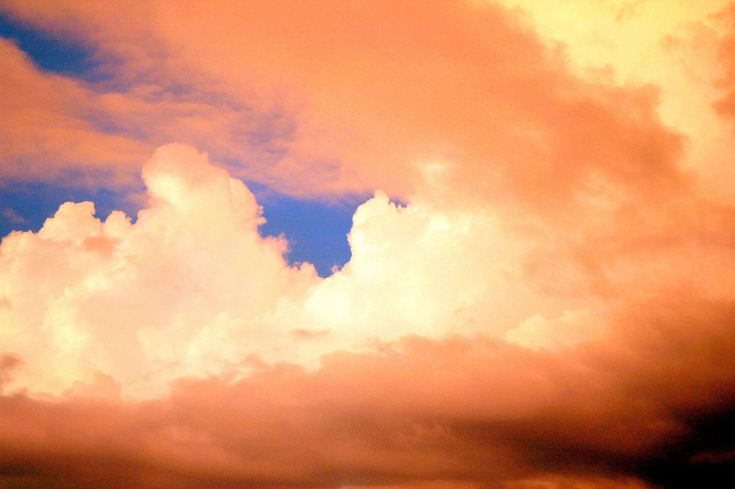 The Secret to Beginning Again as We Prepare For Rebirth and Renewal