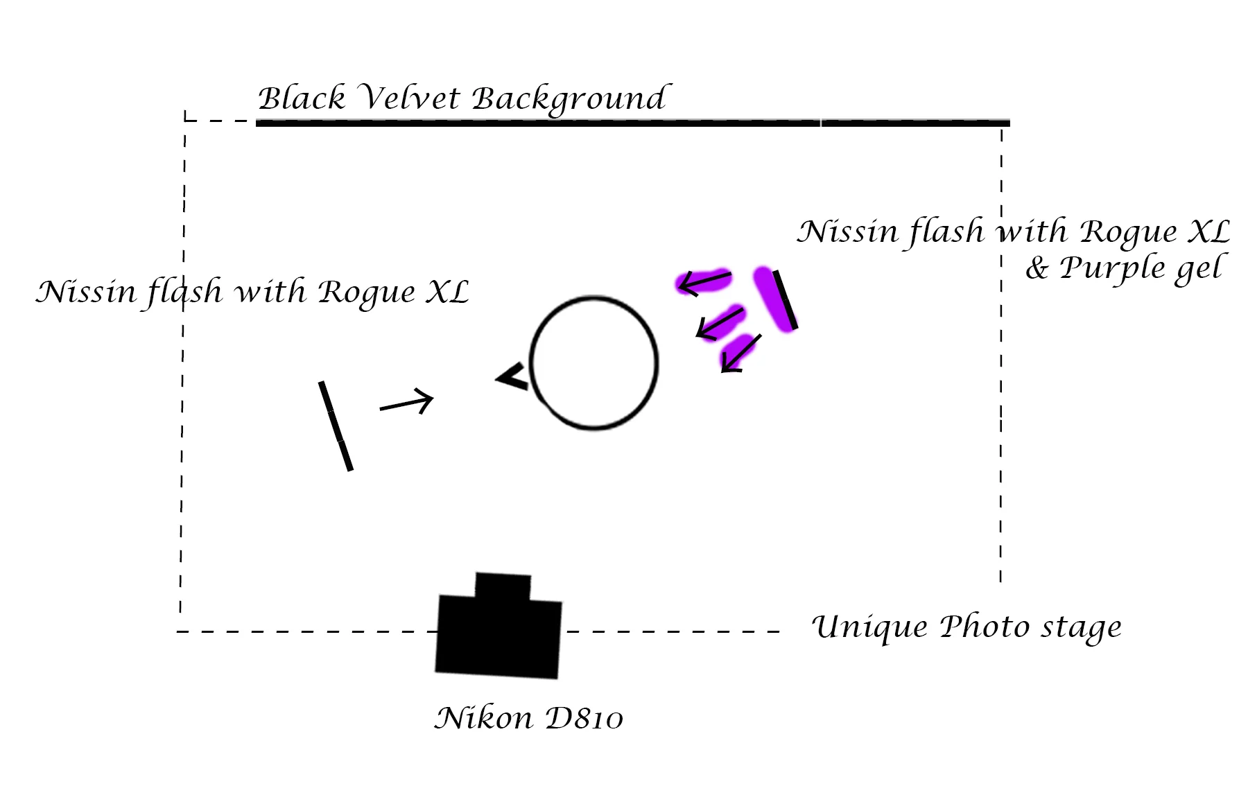 PPE 2017 Diagram 1.jpg