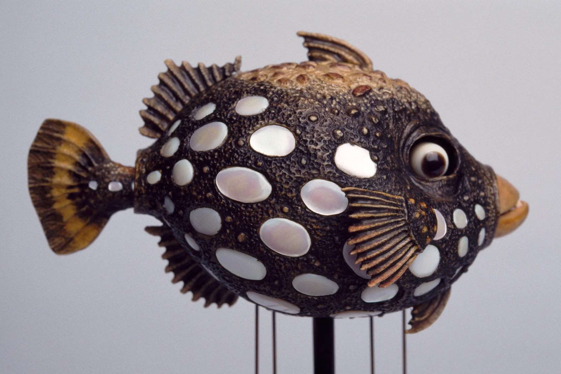 DavidBeck-TriggerFish_35mm_1_web.jpg