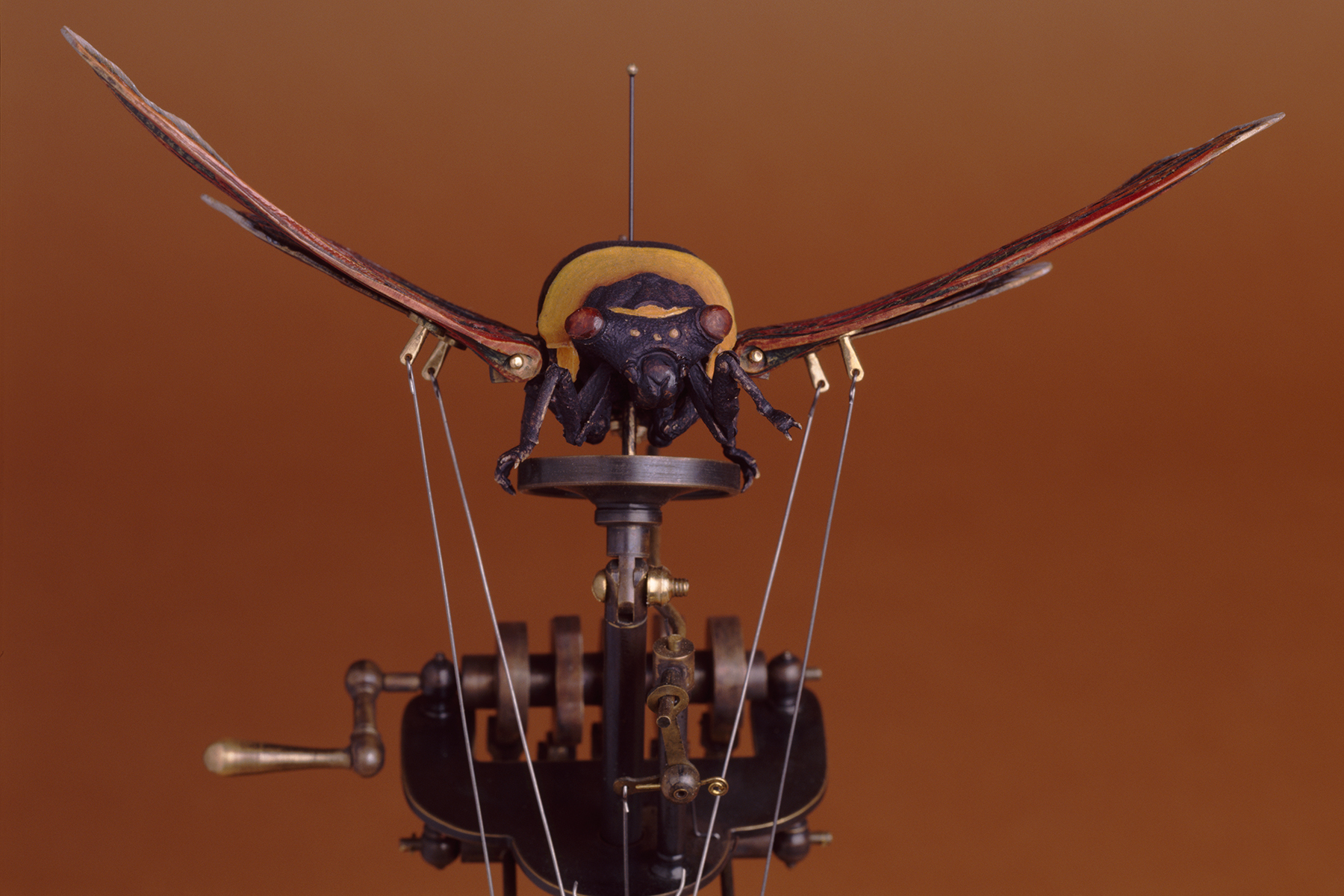 DBeck_MothcaiqueIV_6x9_2_web.jpg