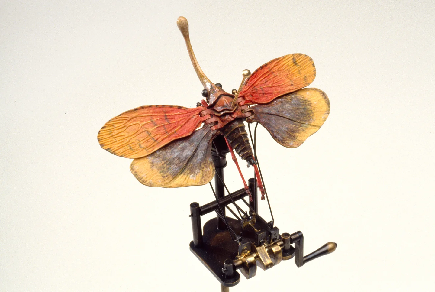 DBeck_MothcaiqueIII_35mm_5_web.jpg