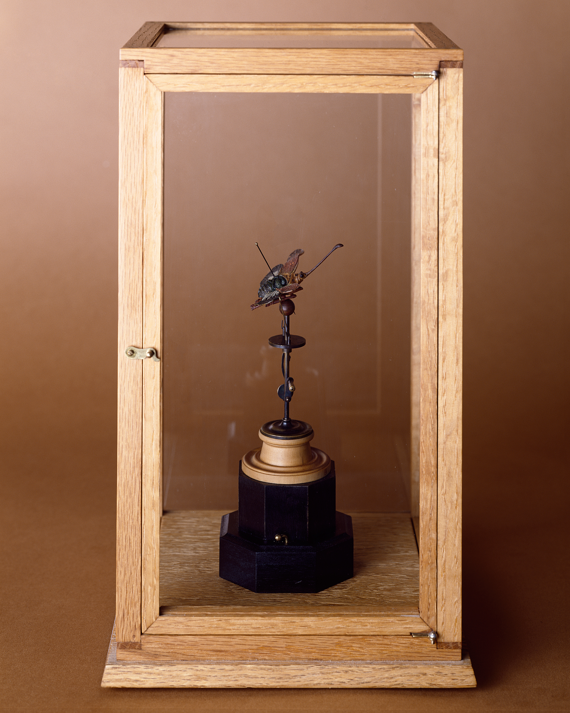 DBeck_MothcaiqueI_4x5_1_web.jpg