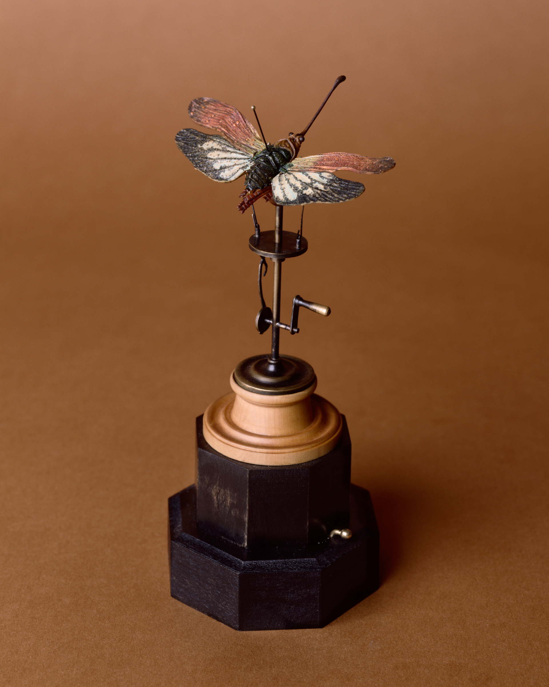 DBeck_MothcaiqueI_4x5_3_CA_web.jpg