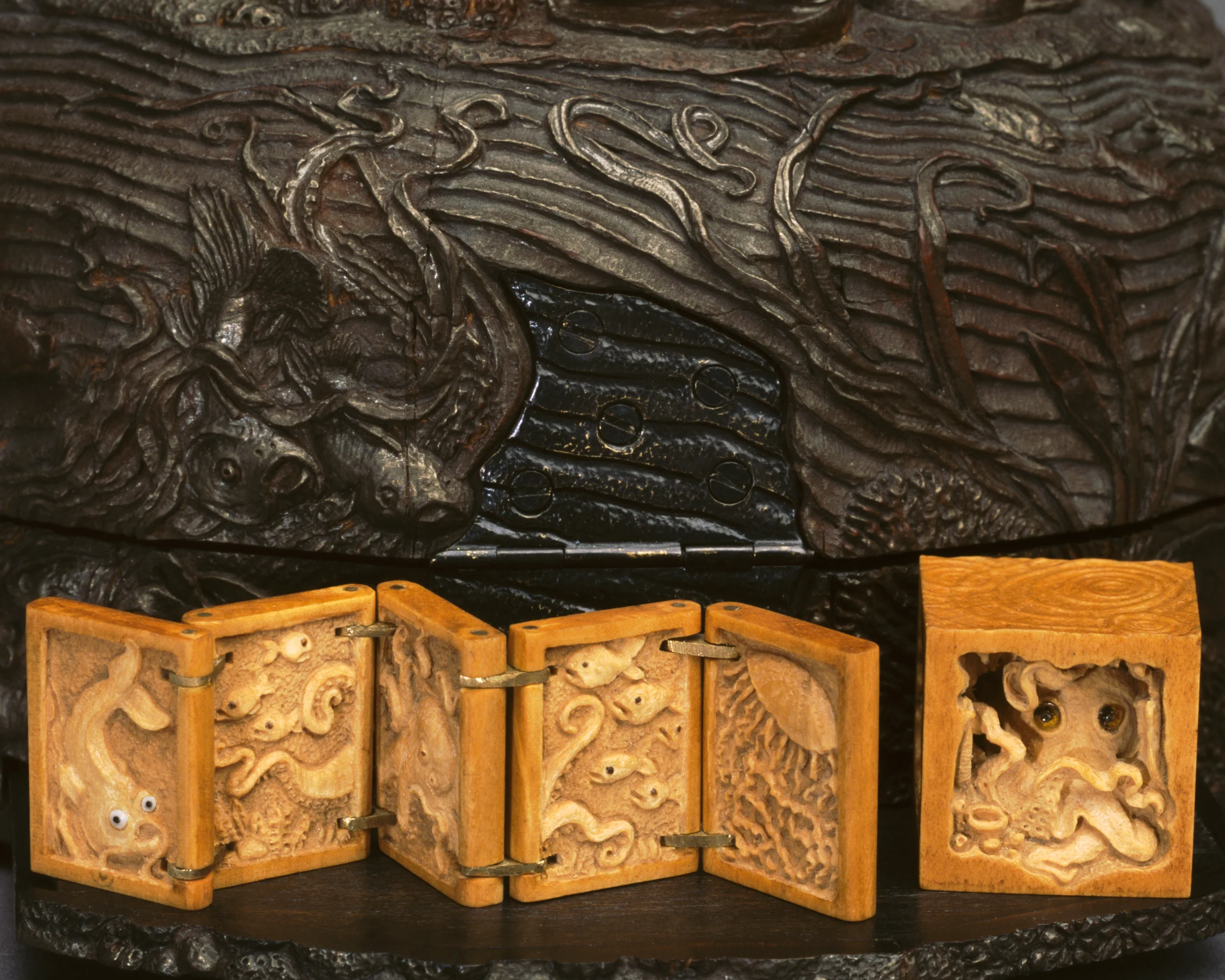 DBeck_BoxFishKabinet_6x7_A_web.jpg