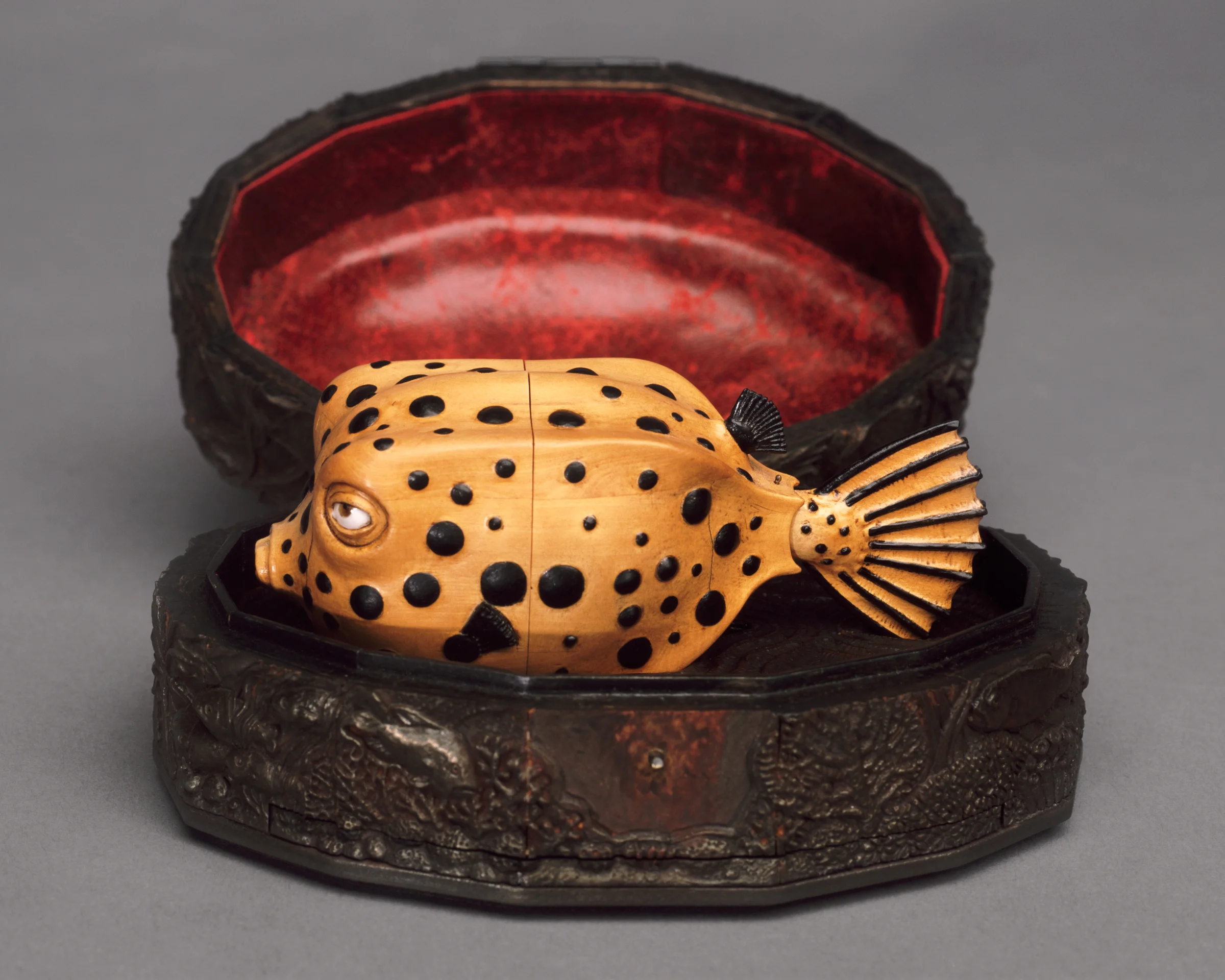 DBeck_BoxFishKabinet_6x9_6_web.jpg