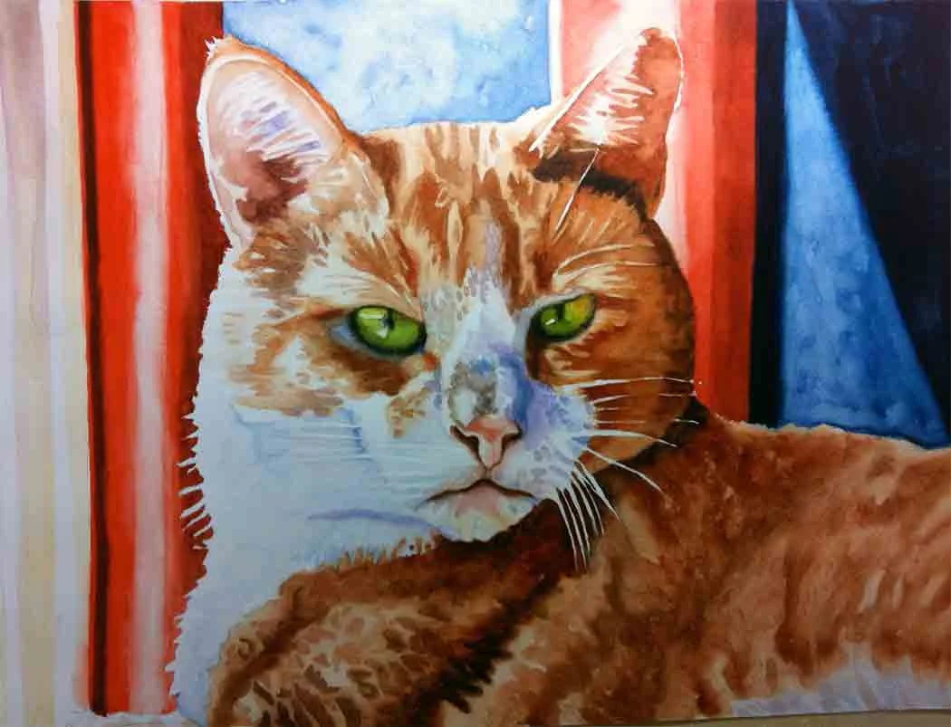 Cat-in-red-3.jpg
