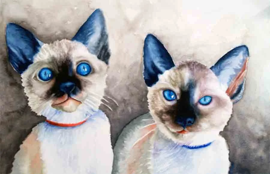 Cats.jpg