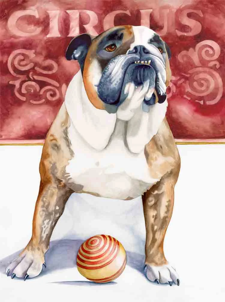 CIRCUS-DOG.jpg