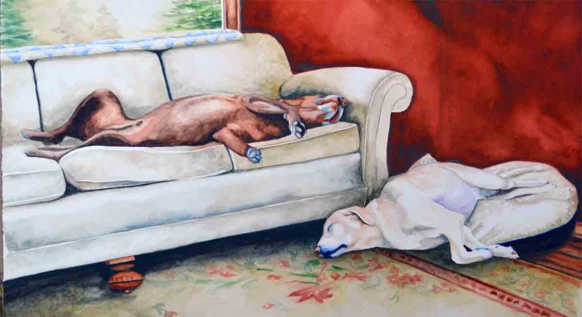 Dog-pause-small.jpg