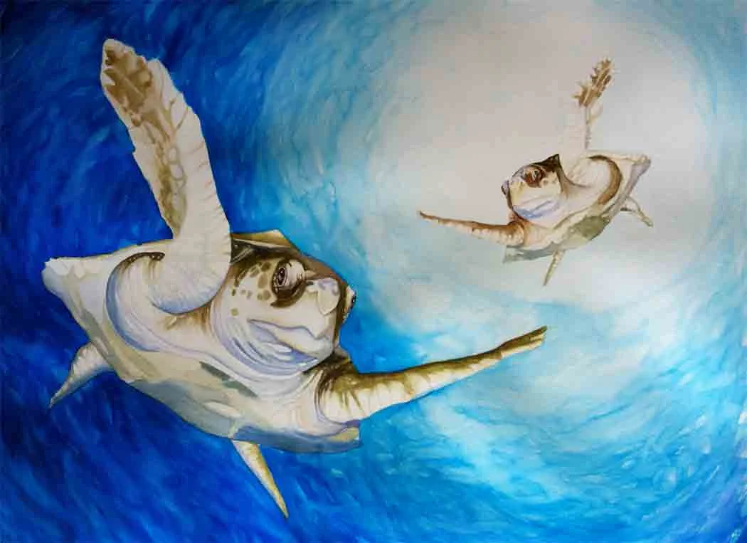 Diving-down.jpg