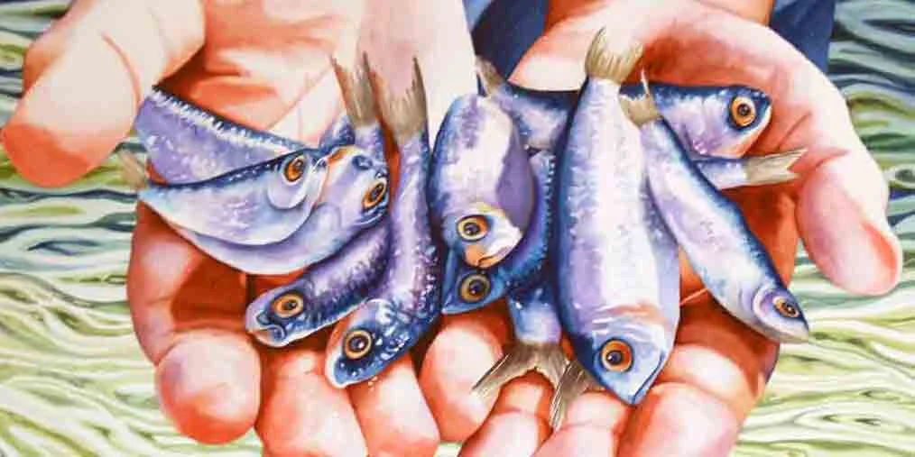 Fish-in-the-hand.jpg