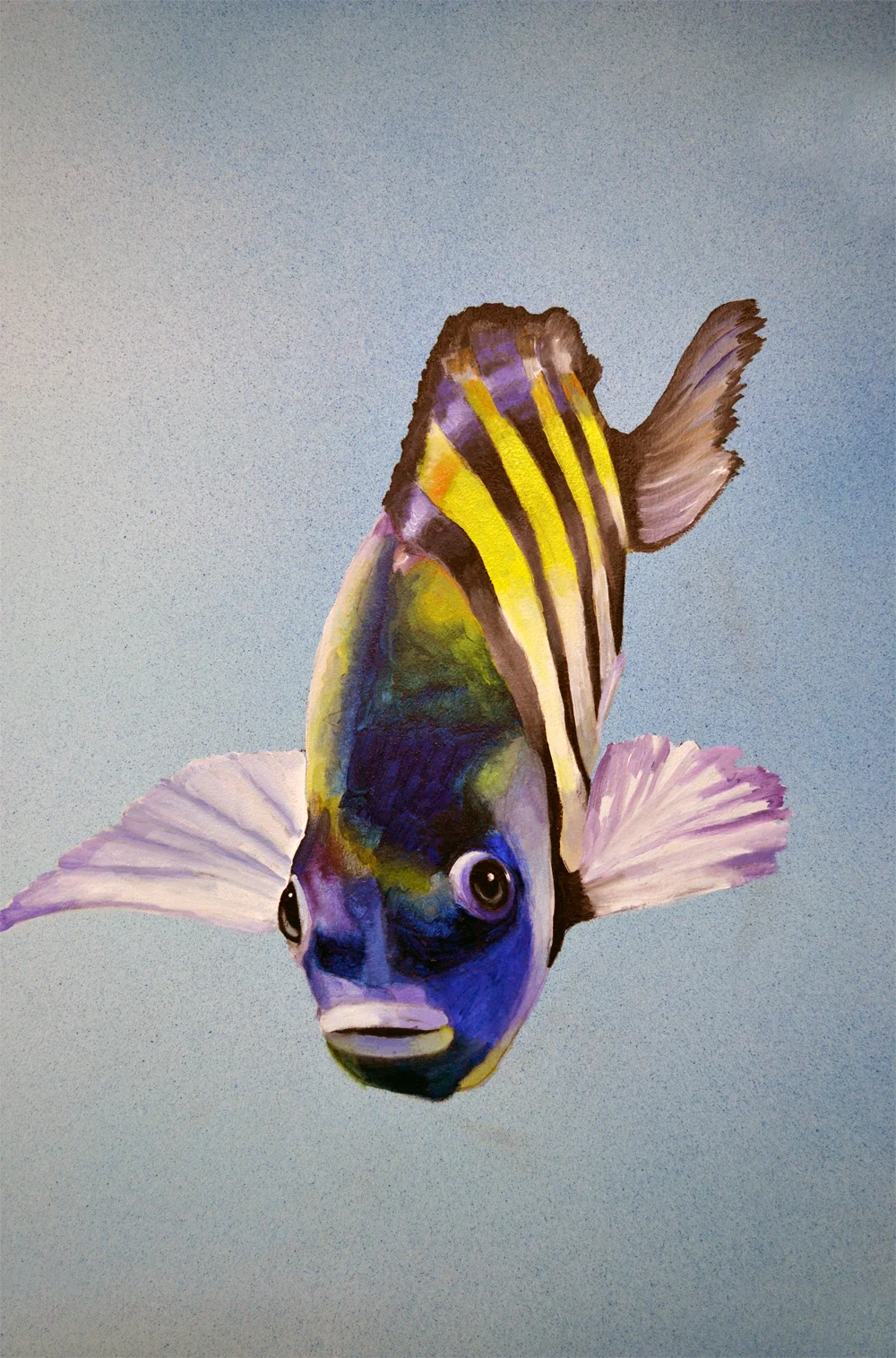 Sargent major fish 1.jpg