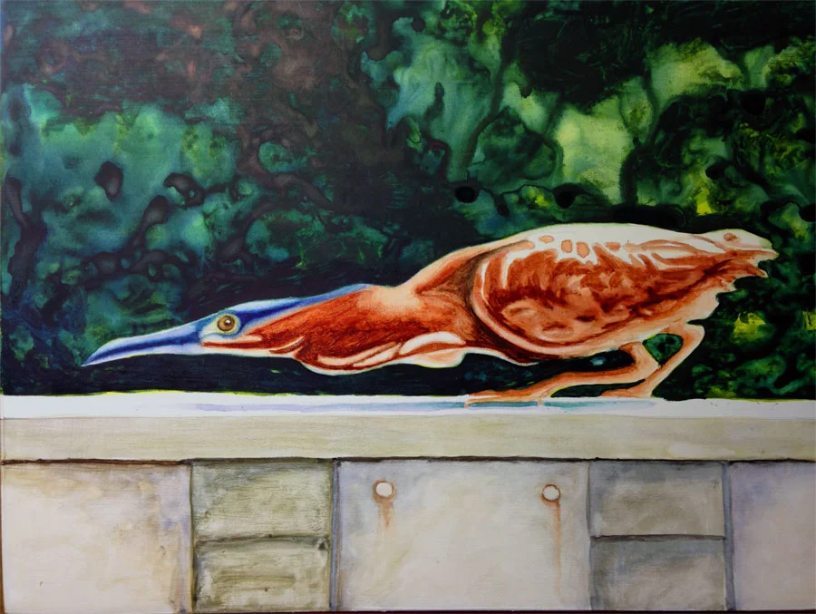 The Hunter (Green Night Heron)
