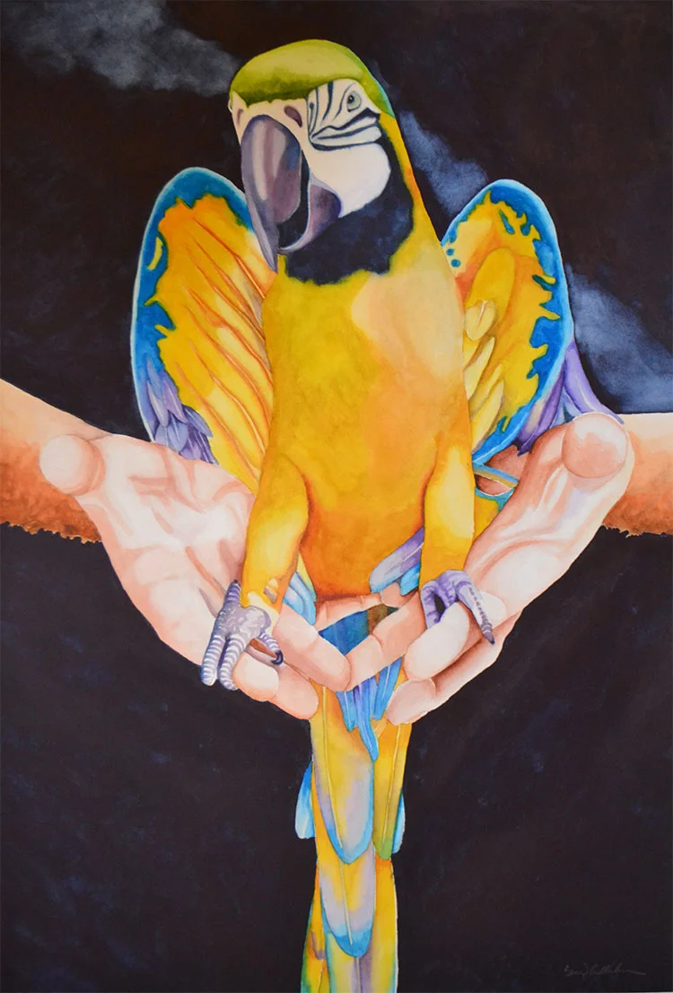 When-Parrots-were-Pirates.jpg