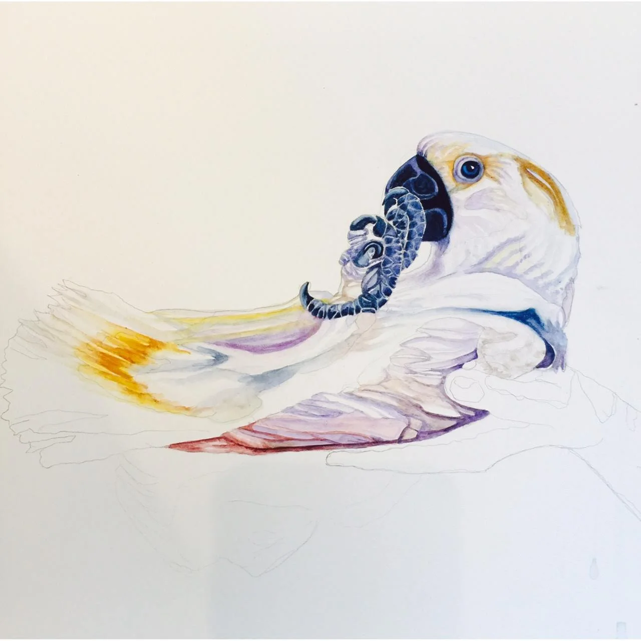 "Bird in hand" - &nbsp;Watercolor progression. &nbsp; I live in Key West and try to steer away from Duval Street, but when someone comes to visit I take them down. &nbsp;While showing a friend around the street has many characters. &nbsp;This bird w…