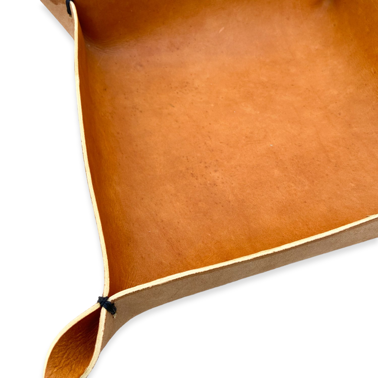 Large+Format+Tray-05-PhotoRoom.png