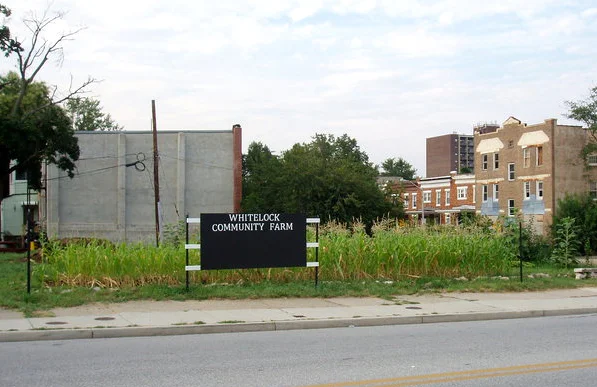 2010