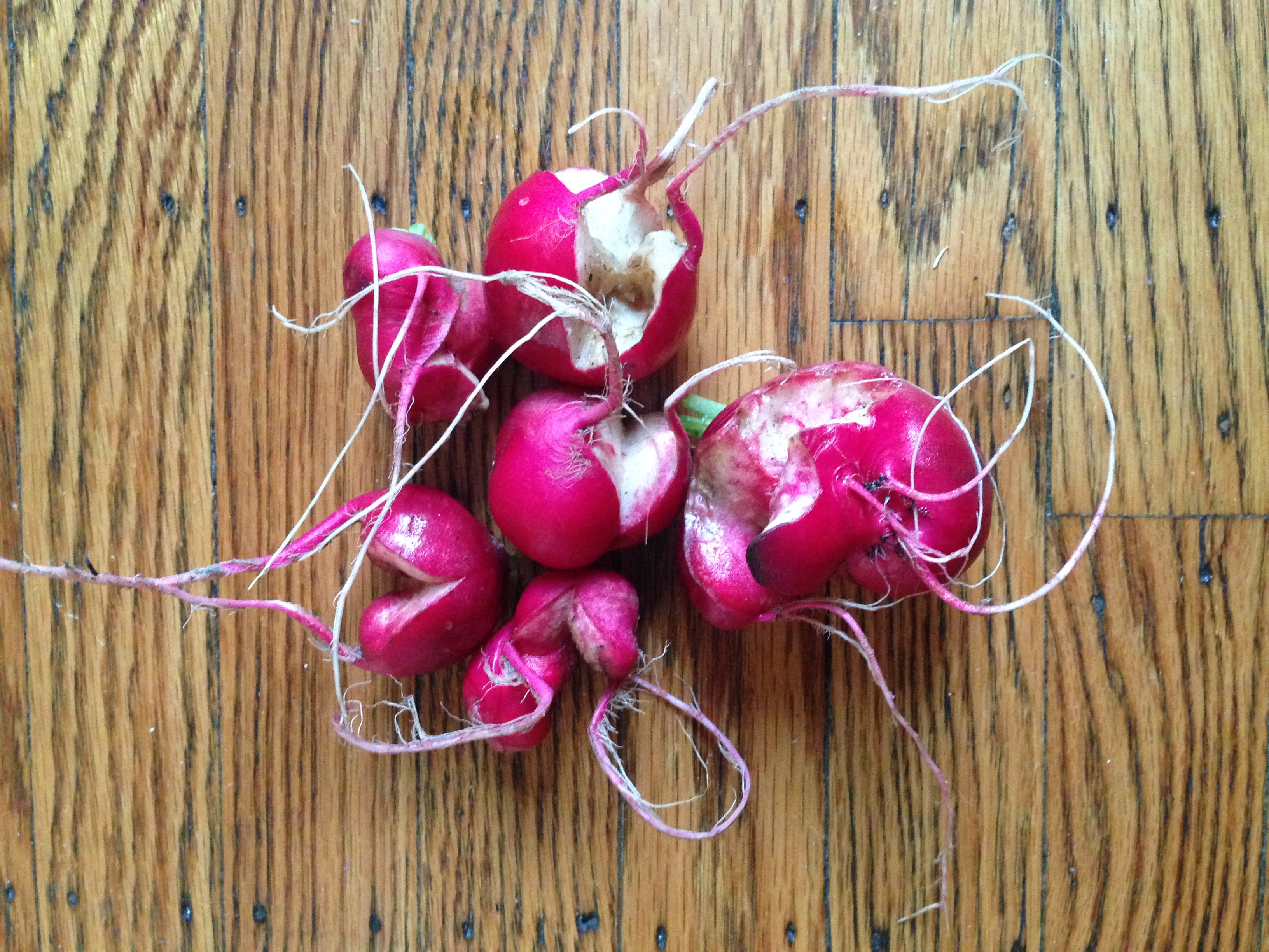 Just because your veggies turn out like this doesn't mean they should go to waste.