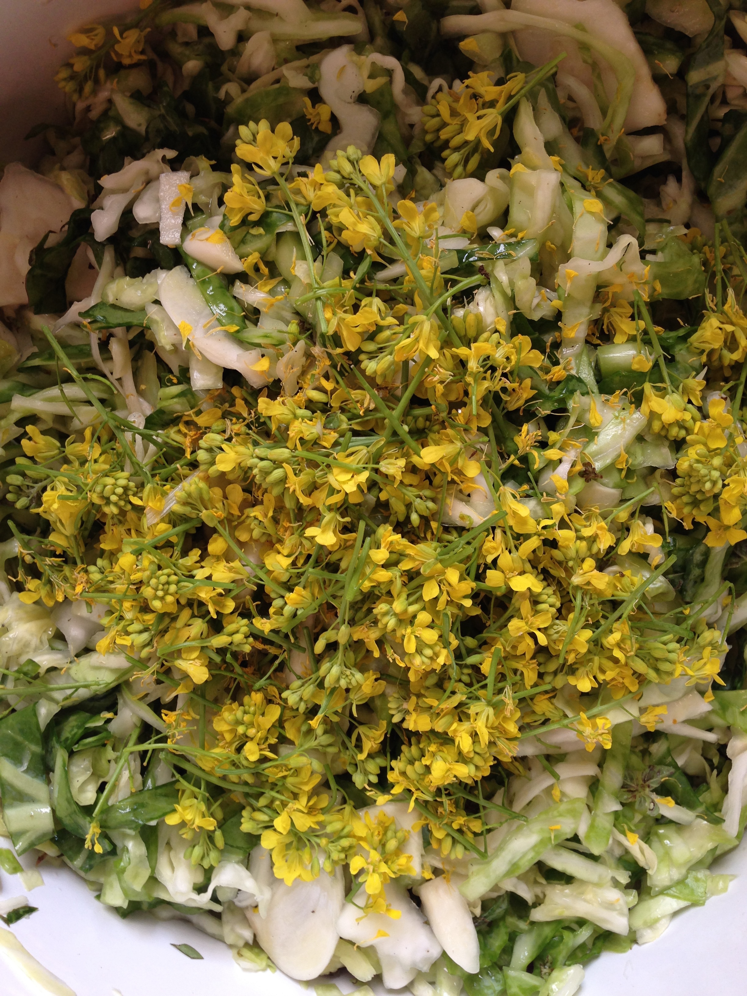 Last but not least! Top of your kraut with some beautiful mustard flowers!