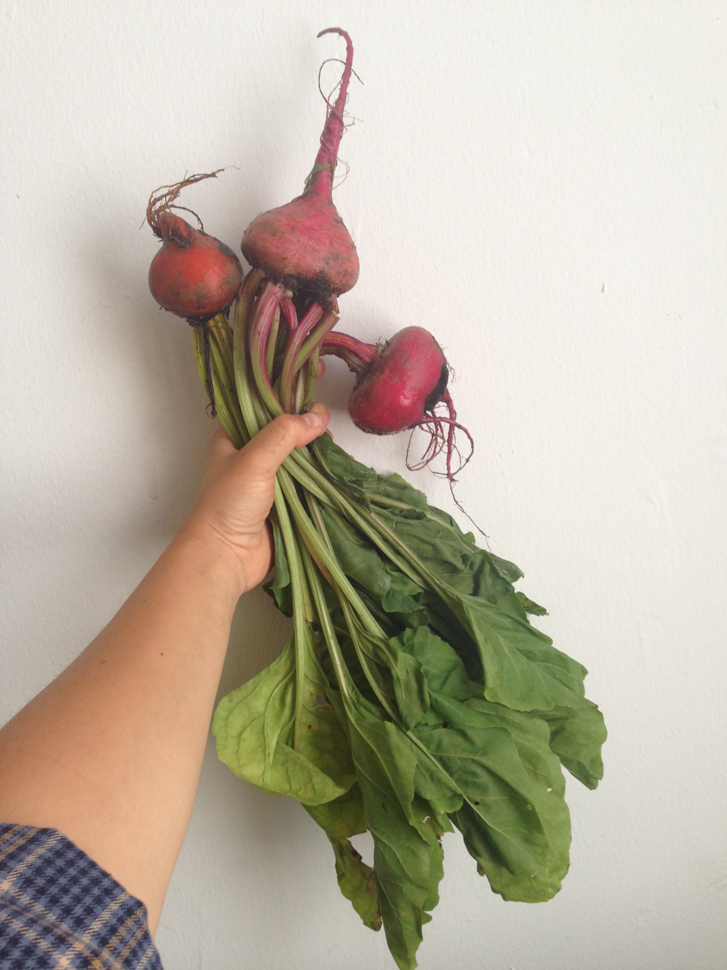 With split radishes come other split roots, like these beets