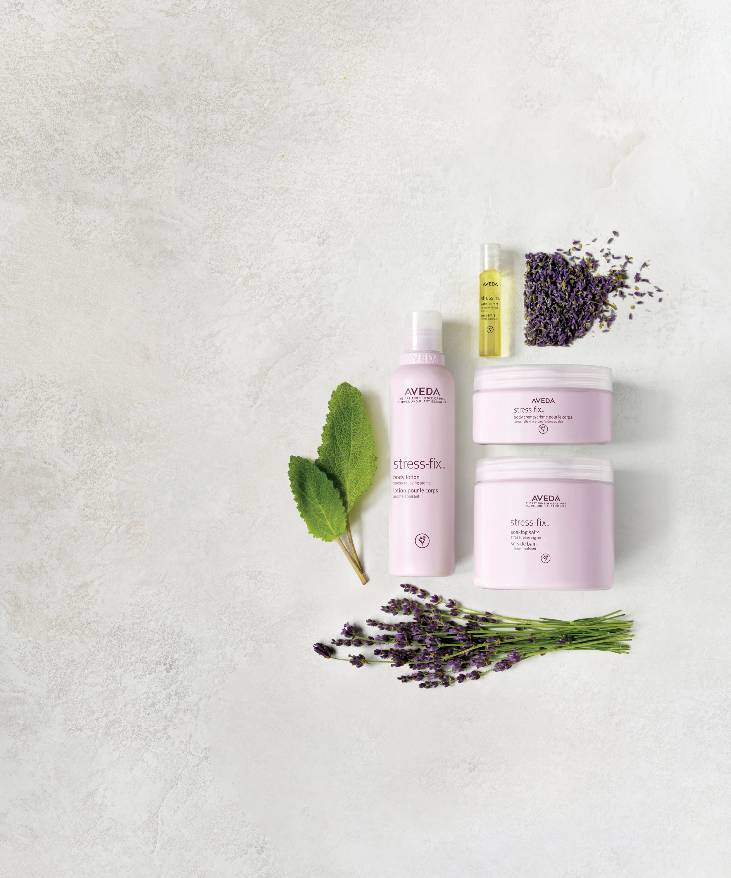 Purchase stress-fix, Earn 200 Points