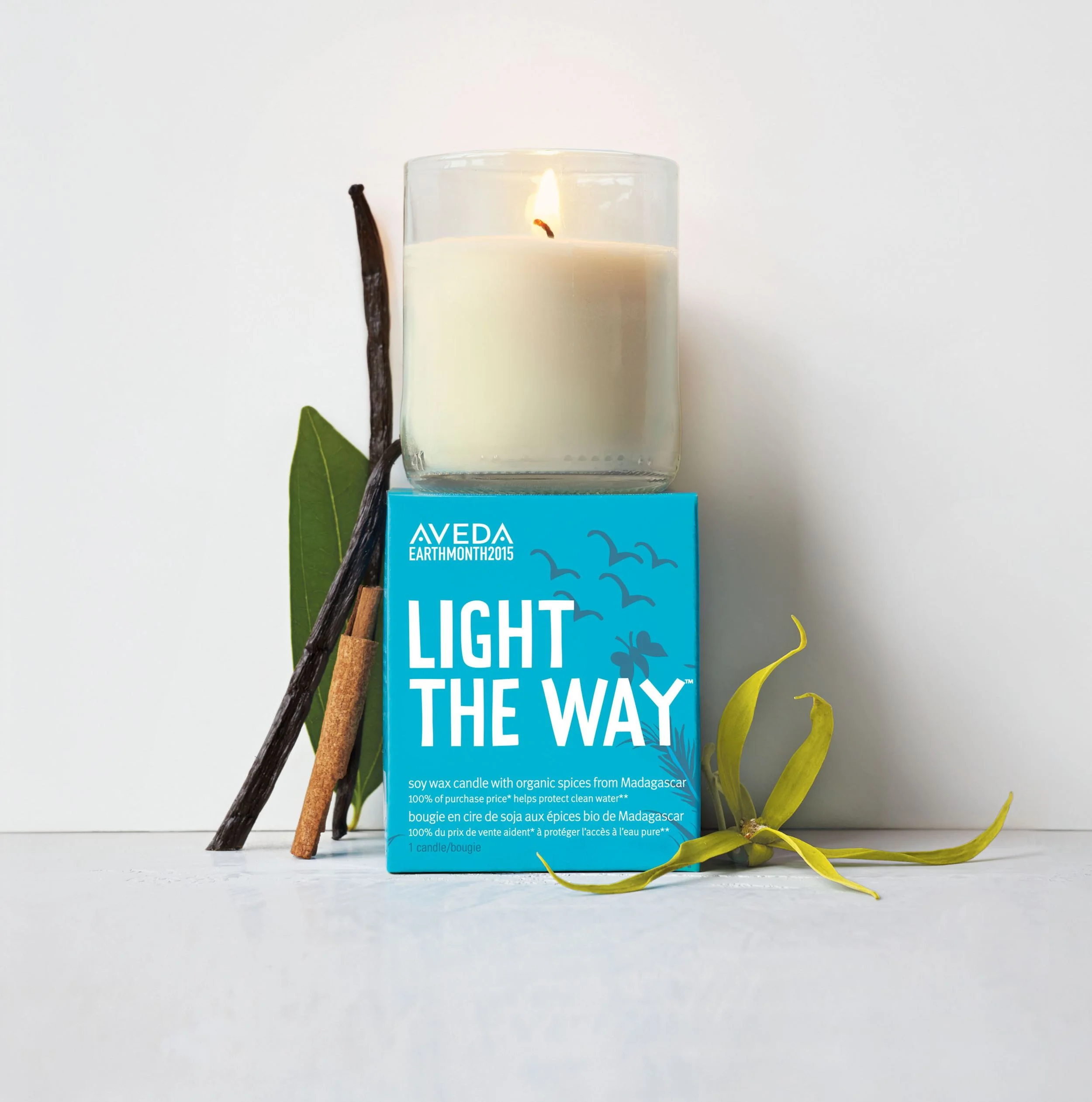 100% of the purchase price of AVEDA's Light The Way candle supports Global Greengrants Fund.