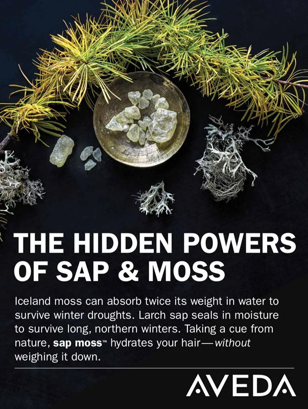 sap-moss.jpg