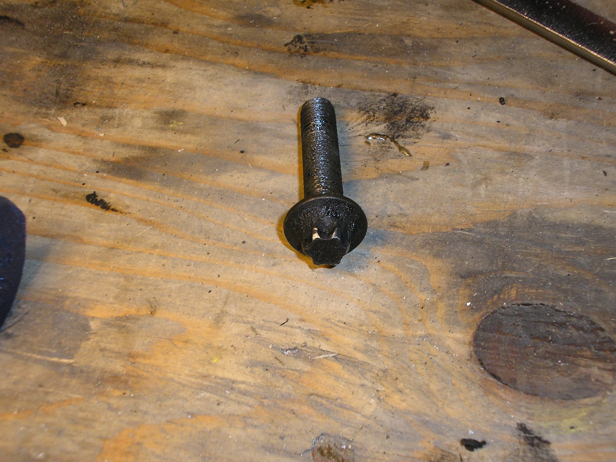 External Torx Bolt