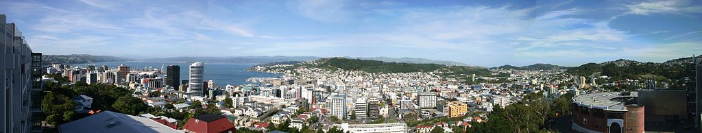 WellingtonPano.jpg
