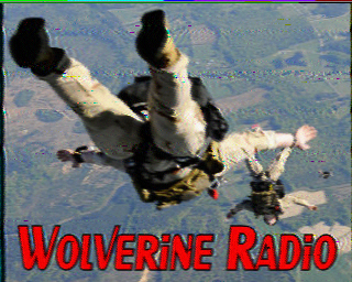 Wolverine Radio SSTV QSL from October 13, 3013