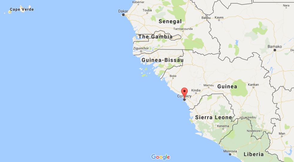 guinea.jpg