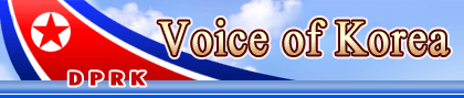 VoiceOfKorea.gif