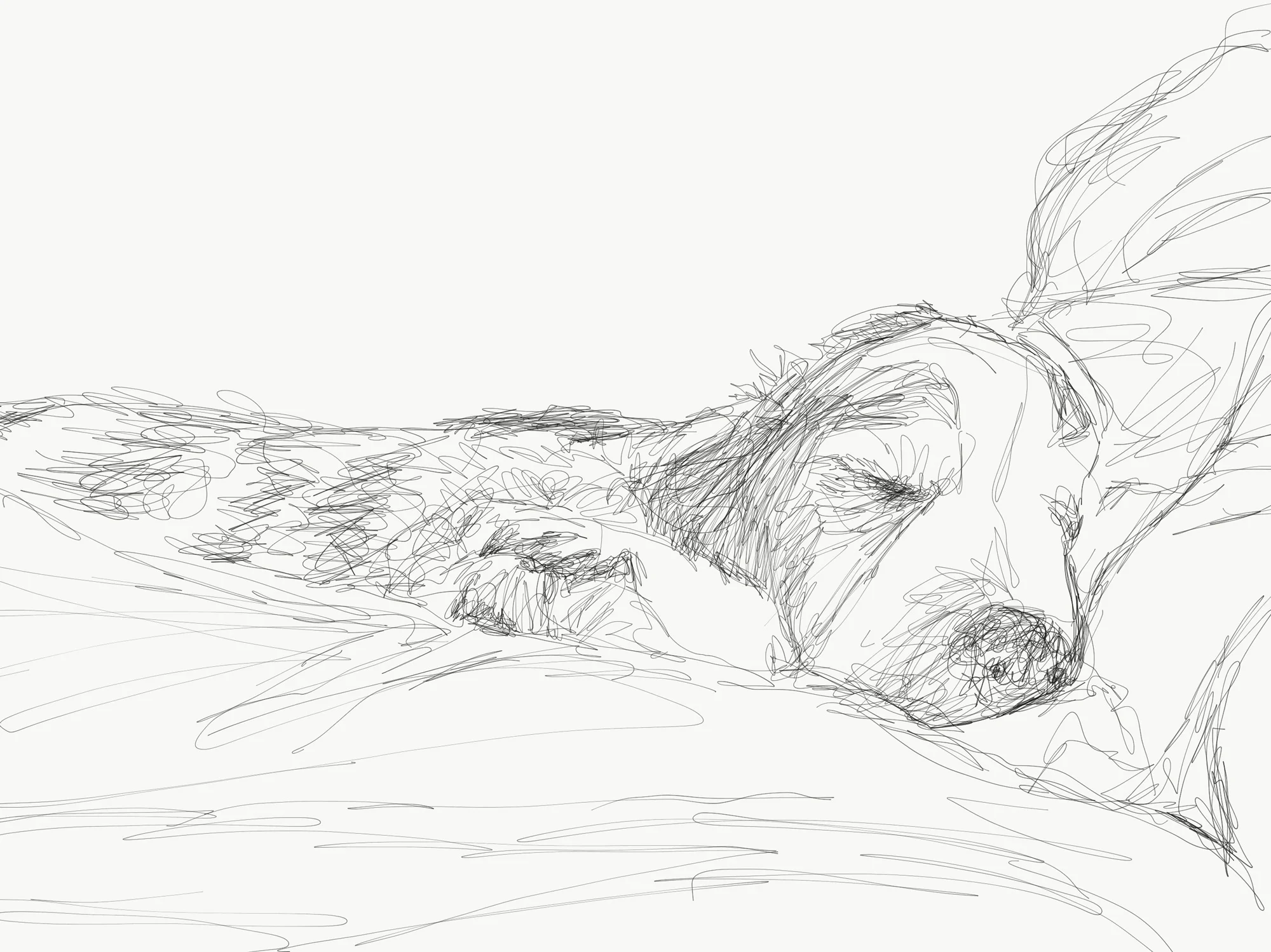 Milo No. 7 (sleeping dog)