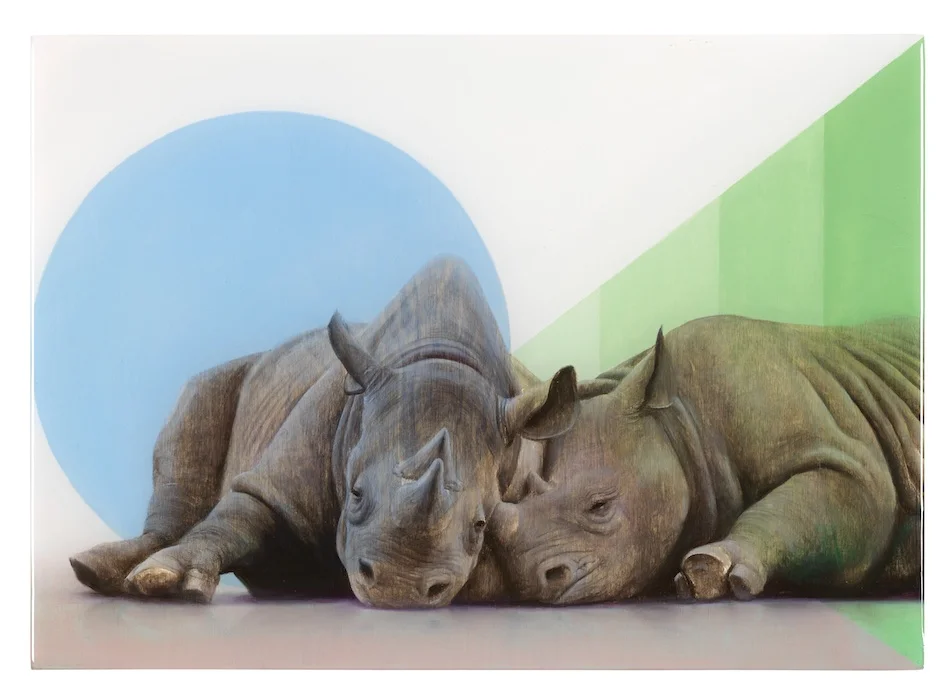 Diagram for Rhino 2014