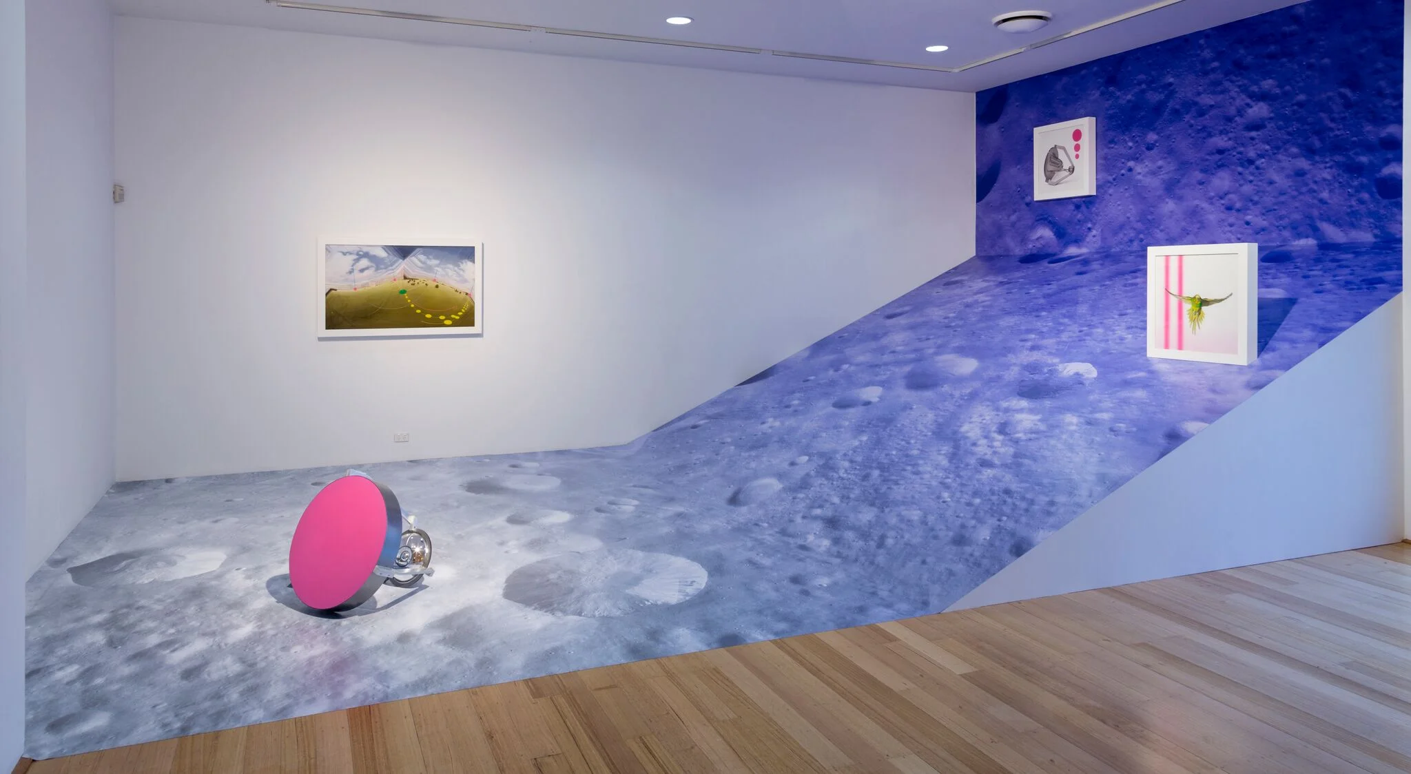 Avian Interplanetary, 2017, install view