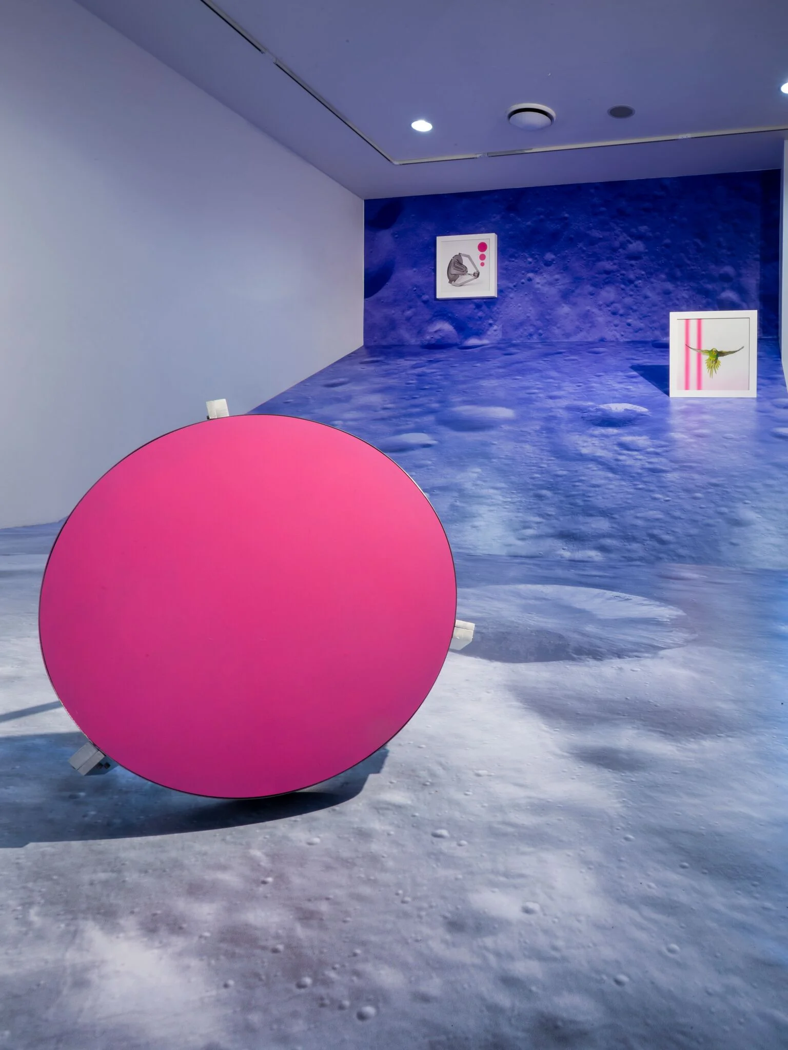 Sam Leach_06_preview.jpeg