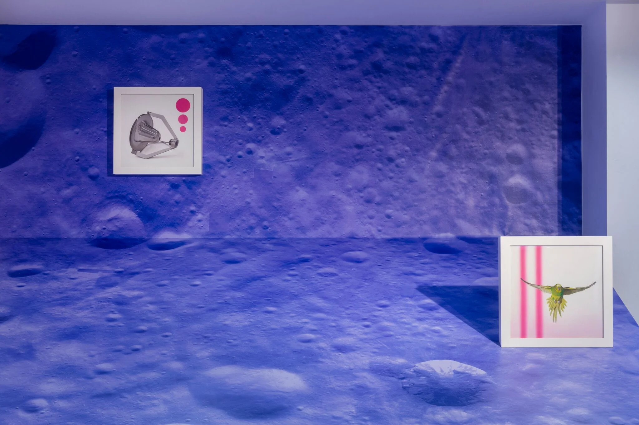 Avian Interplanetary, 2017, install view