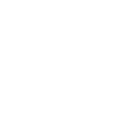 NEXT STEPS.png