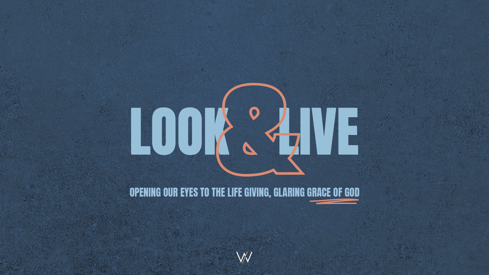 Look and Live // February 22, 2026